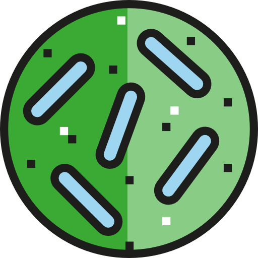 細菌 Detailed Straight Lineal color icon