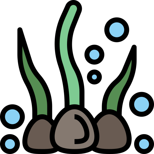 alga Surang Lineal Color icona