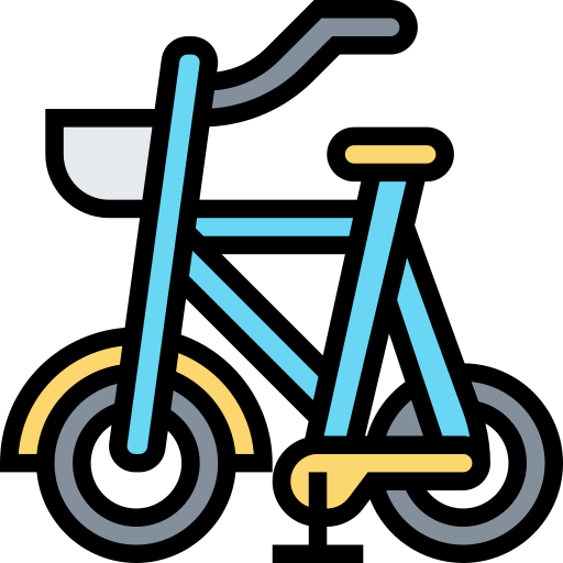 Bicycle Meticulous Lineal Color icon