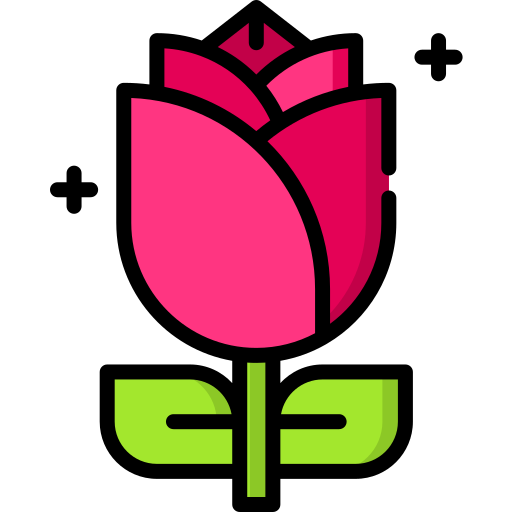 Rose Special Lineal color icon