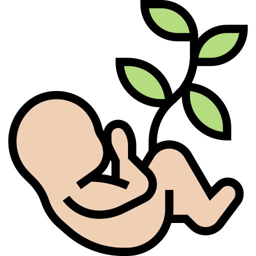 Embrión Meticulous Lineal Color icono