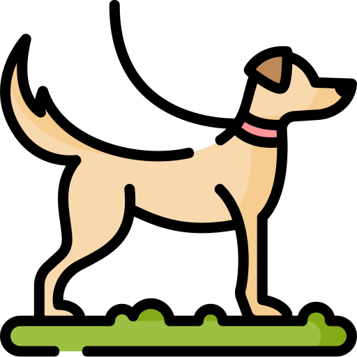 Perro Special Lineal color icono