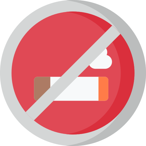 Proibido fumar Special Flat Ícone