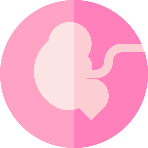 胎児 Basic Straight Flat icon