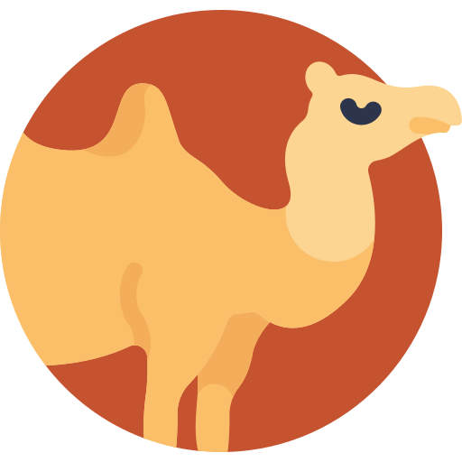 kamel Detailed Flat Circular Flat icon