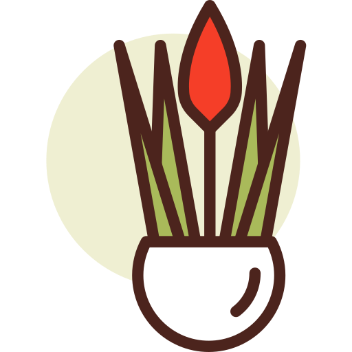 Aloe vera Darius Dan Lineal Color icono
