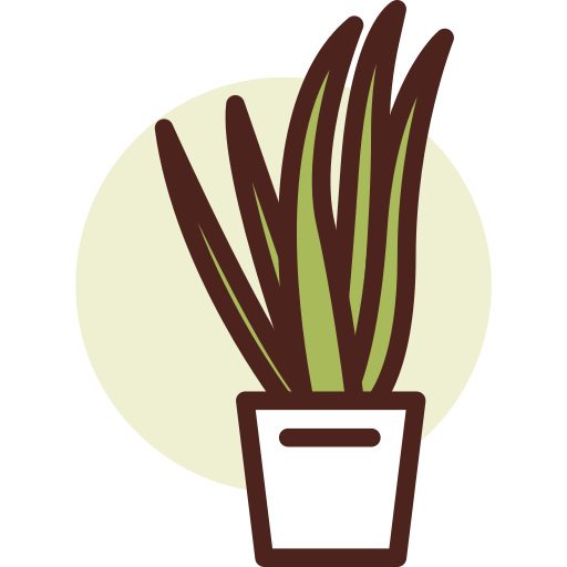 Aloe vera Darius Dan Lineal Color icon