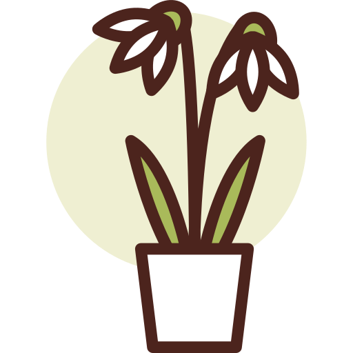 Botanic Darius Dan Lineal Color icon