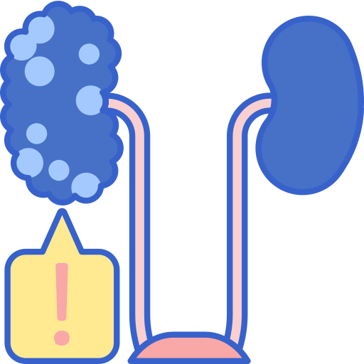 Kidney Flaticons Lineal Color icon