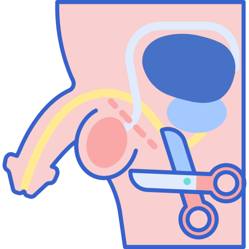 vasectomie Flaticons Lineal Color Icône