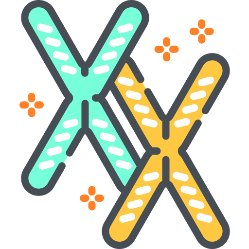 chromosome Special Bicolor Icône