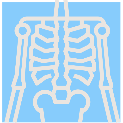 röntgenfoto PMICON Flat icoon