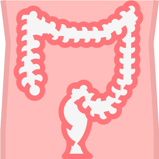 intestins PMICON Flat Icône
