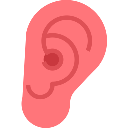 耳 PMICON Flat icon