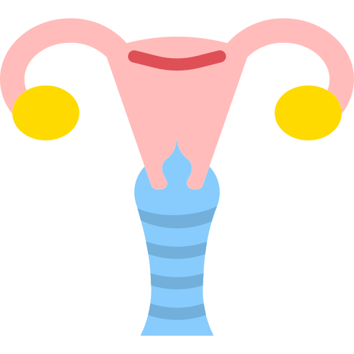 uterus PMICON Flat icon