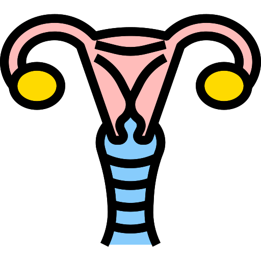 자궁 PMICON Lineal color icon