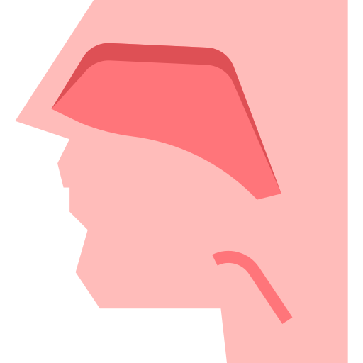 Otorhinolaryngology PMICON Flat icon