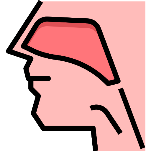 hals-nasen-ohren-heilkunde PMICON Lineal color icon