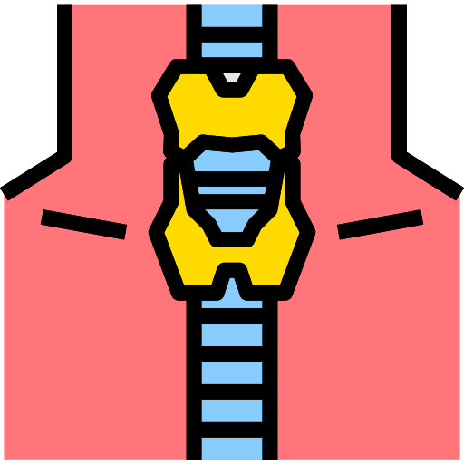 ghiandola tiroidea PMICON Lineal color icona