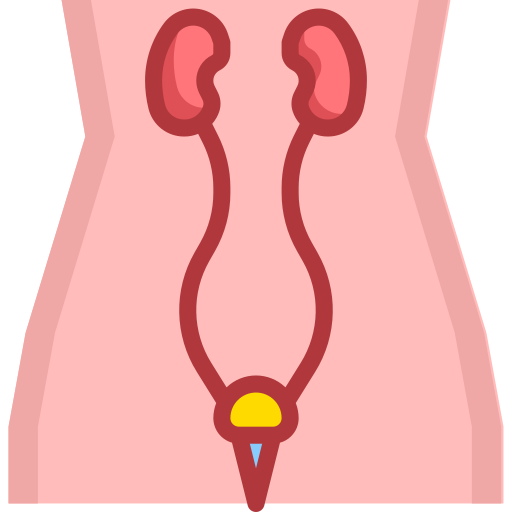 urologia PMICON Flat ikona