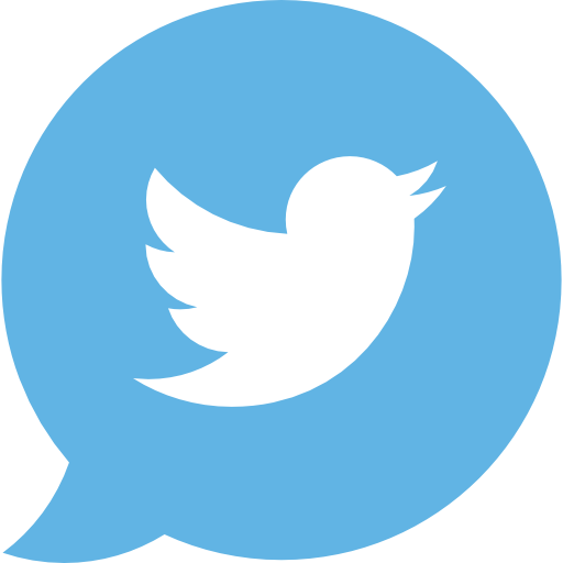 Twitter Special Flat icon