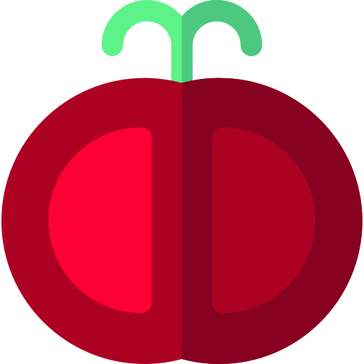 tomate Basic Rounded Flat Icône
