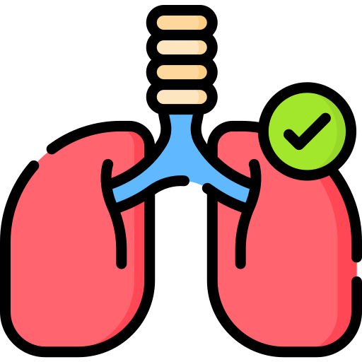 肺 Special Lineal color icon