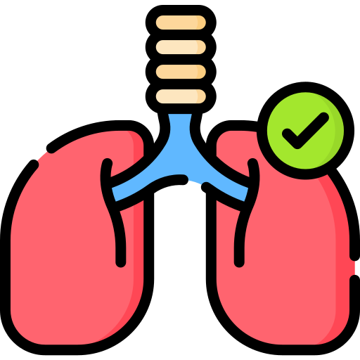 Lungs Special Lineal color icon