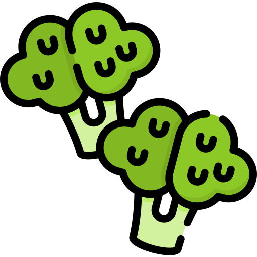 Broccoli Special Lineal color icon