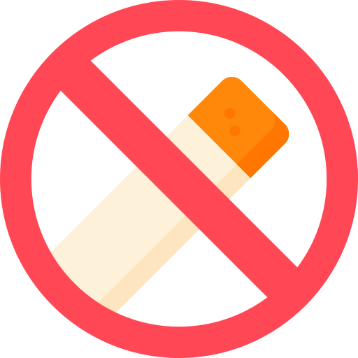 No fumar Special Flat icono