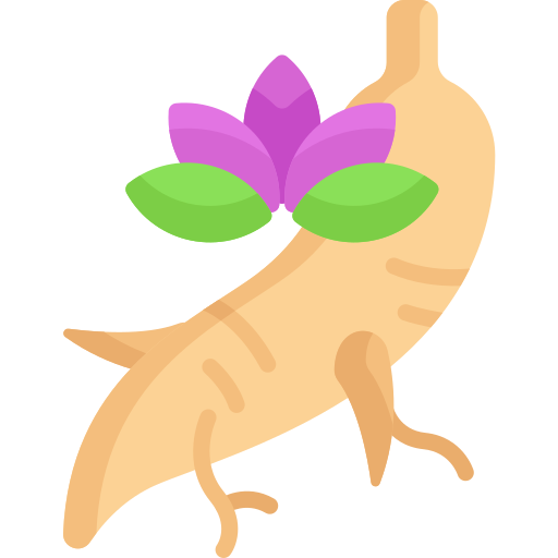 ginseng Special Flat icon