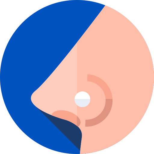Nariz Flat Circular Flat icono