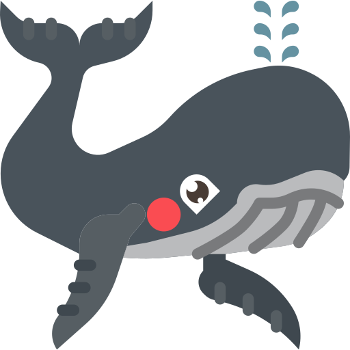 Whale Skyclick Flat icon