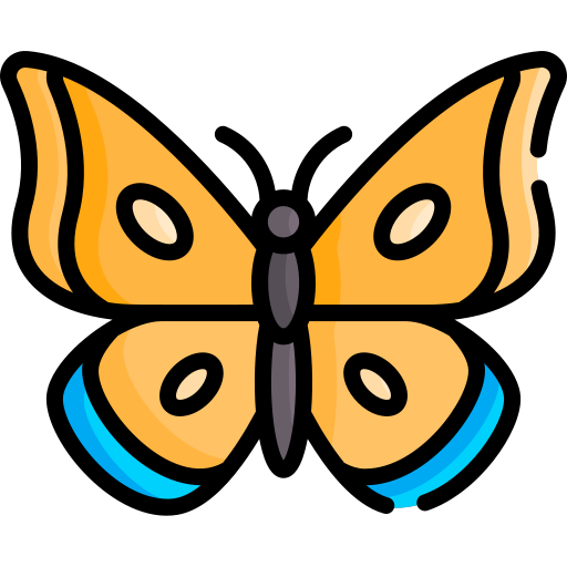 Butterfly Special Lineal color icon