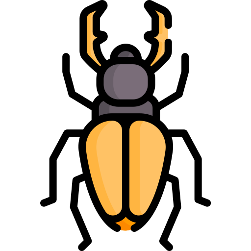 scarabée Special Lineal color Icône