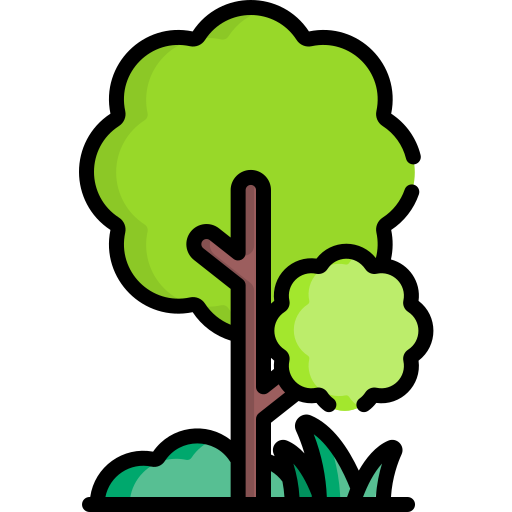 Forest Special Lineal color icon