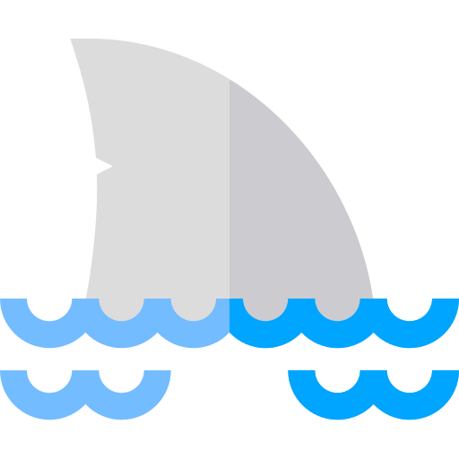 squalo Basic Straight Flat icona