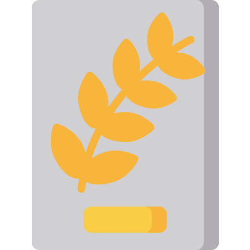 Palma Special Flat icono