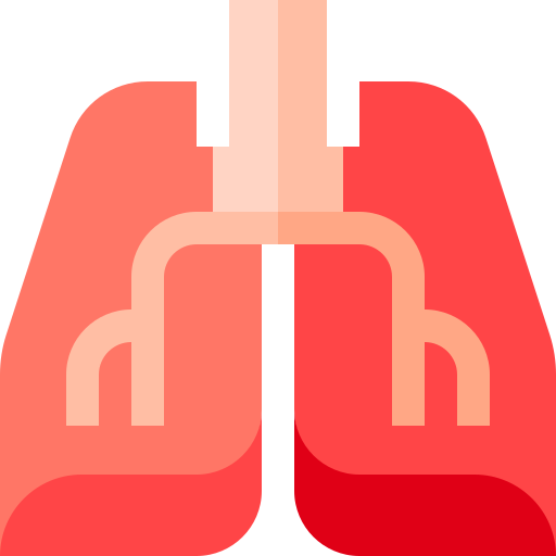 Pulmones Basic Straight Flat icono