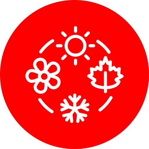 Seasons Generic color fill icon