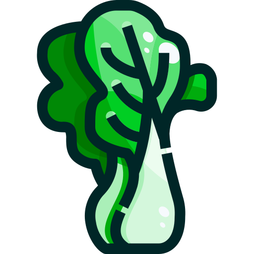 Cabbage Justicon Lineal Color icon