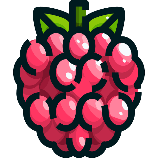 Raspberry Justicon Lineal Color icon