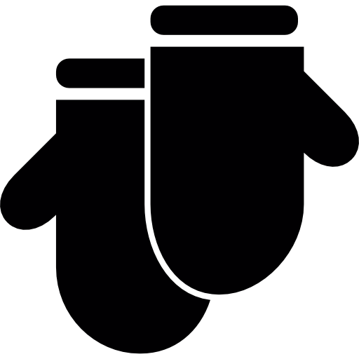 Pair of Gloves  icon