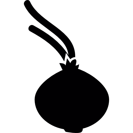 Onion bulb  icon