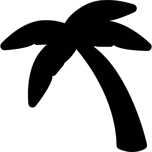 albero di cocco in piedi  icona