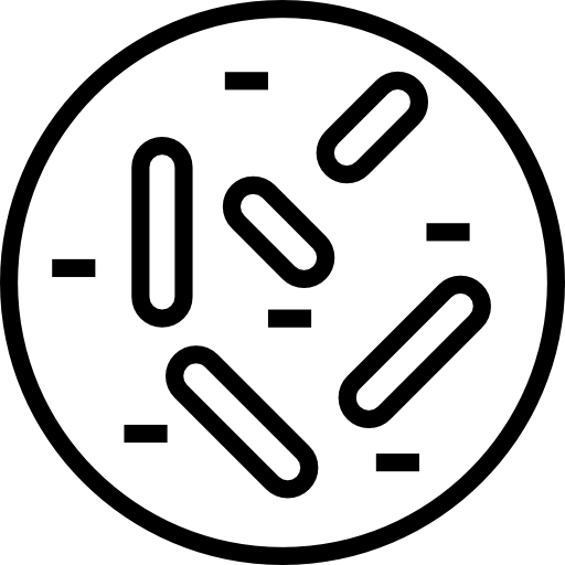bakteria Detailed Straight Lineal ikona