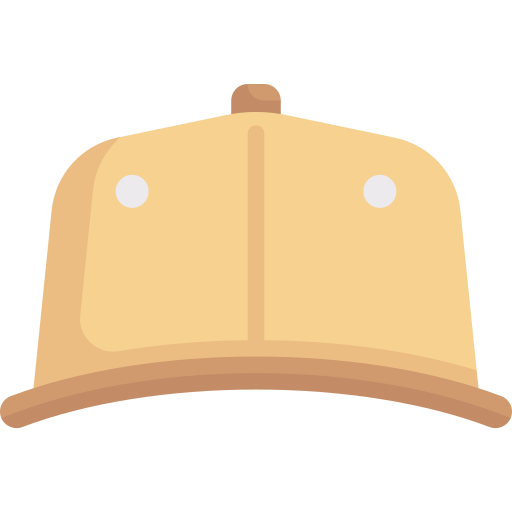 Gorra Special Flat icono