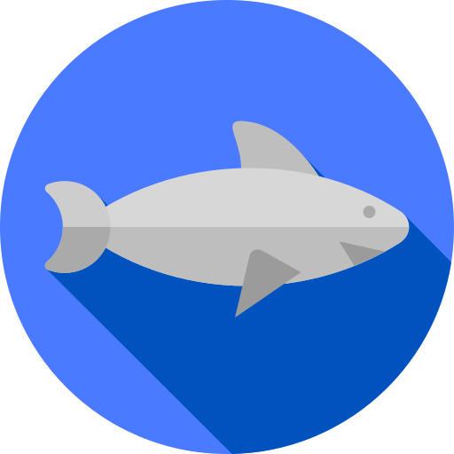 Tiburón Flat Circular Flat icono