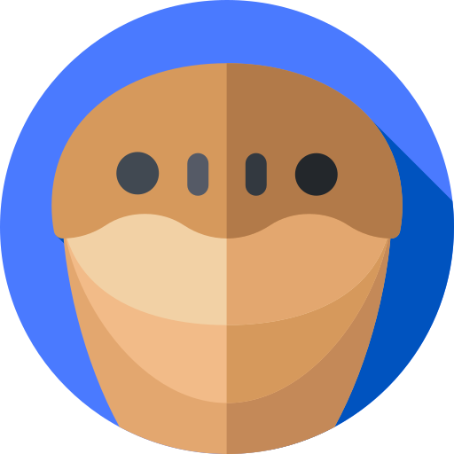 Tortuga Flat Circular Flat icono