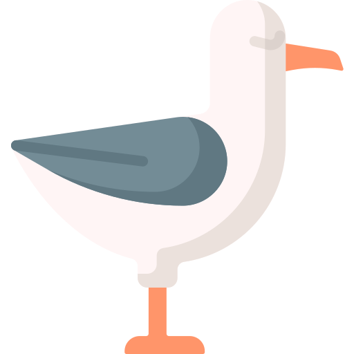 albatros Special Flat Icône